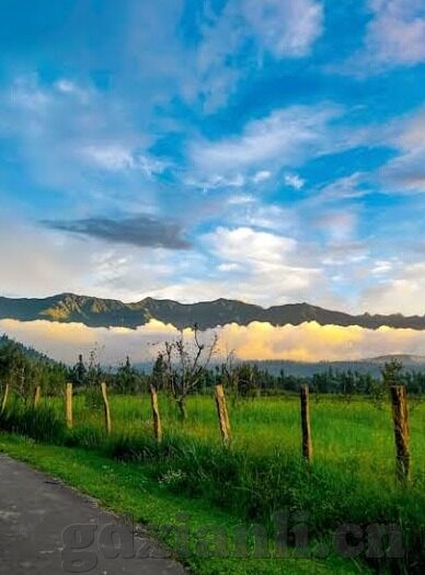 麻豆av资源网-麻豆AV资源网，什么是它？为何我们该更加关注网络内容的合法合规问题