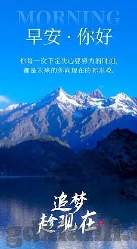 麻豆传媒含羞草-麻豆传媒与含羞草，新媒体环境下的一抹清新绿意