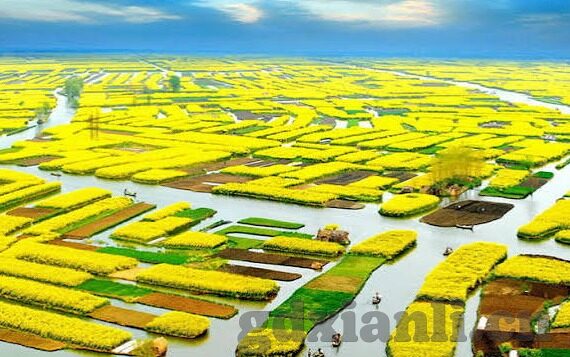 糖心app兑换码免费-糖心APP优惠券揭秘，免费获取的点滴智慧